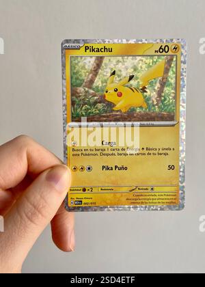 pikachu holographic card mcdonald's Pokemon - McDonalds - 25th Anniversary Collection - Lightning Lightning Meal Time Flip a coin until you get tails Pokemon McDonalds Pikachu Holo Promo