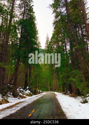 Snowy forest road in Yosemite Stock Photo