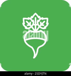 Turnip Vector Icon Design Illustration Stock Vector