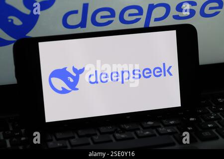 Lviv, Ukraine 6 feb 2025. In this photo illustration, a Deepseek logo is seen displayed on a smartphone with a in Deepseek logo the background. Stock Photo