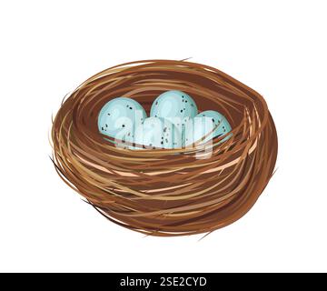 Bird Nest Containing Four Light Blue Specked Eggs on White Background Stock Vector