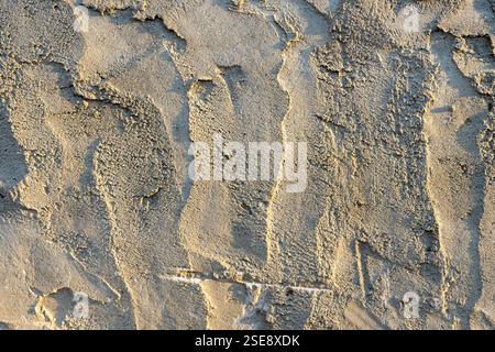 Close-up of a textured wall displaying unique natural patterns and earth tones. Soft sunlight highlights the grooves and ripples, creating an organic Stock Photo