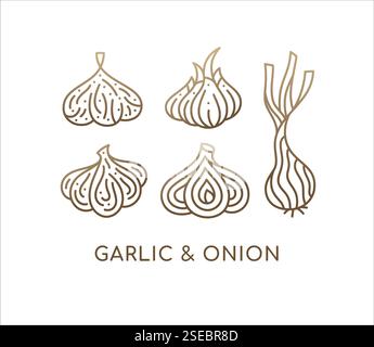 Onion and garlic linear set icons. Logo vegan food. Ripe root. Spices sliced vegetable. Vector contour illustration. Symbol of farm, restaurant food, Stock Vector