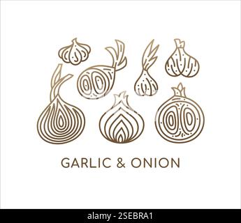 Onion and garlic linear set icons. Logo vegan food. Ripe root. Spices sliced vegetable. Vector contour illustration. Symbol of farm, restaurant food, Stock Vector