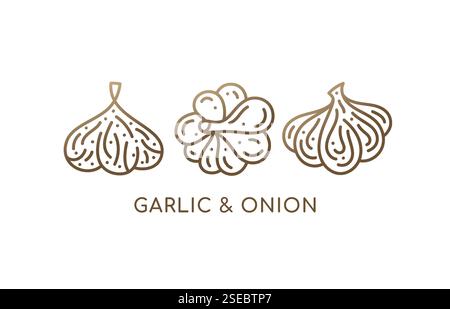 Garlic, onion linear set icons. Logo vegan food. Ripe root. Spices sliced vegetable. Vector contour symbol of farm, restaurant food, health, diet, eco Stock Vector