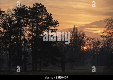 Atmospheric sunset through trees with intense orange in the sky, Germany, Europe Stock Photo