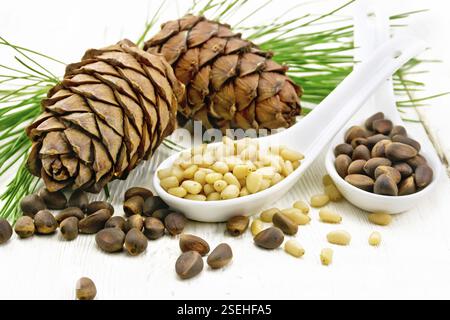 Cedar nuts in two spoons, two pinecones and green branches on a light wooden board background Stock Photo