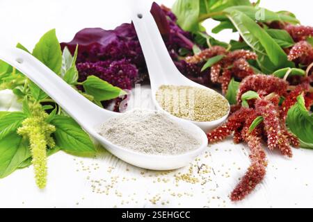 Flour and seeds amaranth in two spoons, multicolored flowers and leaves of a plant on the background of light wooden board Stock Photo
