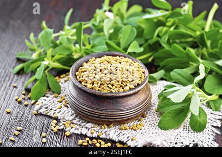 Fenugreek seeds in a bowl on a burlap napkin with green leaves on dark wooden board background Stock Photo