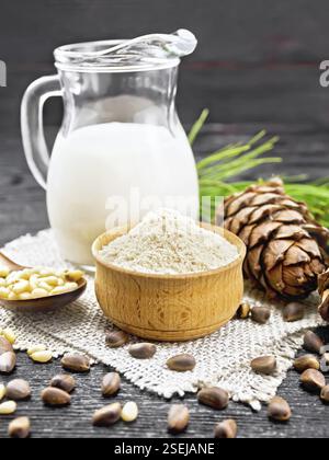 Cedar flour in a bowl, nuts and two cones, spoon with peeled nuts on burlap napkin, green pine branch and cedar milk in a jug on black wooden board ba Stock Photo