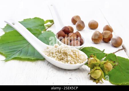 Flour and hazelnuts in two spoons, a branch of filbert with green leaves on a wooden board background Stock Photo