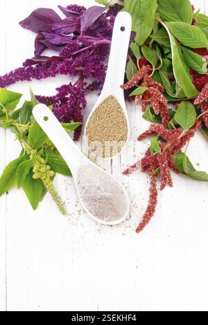 Flour and seeds amaranth in two spoons, multicolored flowers and leaves of a plant on the background of light wooden board from above Stock Photo