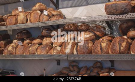 Freshly baked rye bread displayed on a shelf in the small business bakery in the city. Various round dark breads sitting on a large shelf. Stock Photo