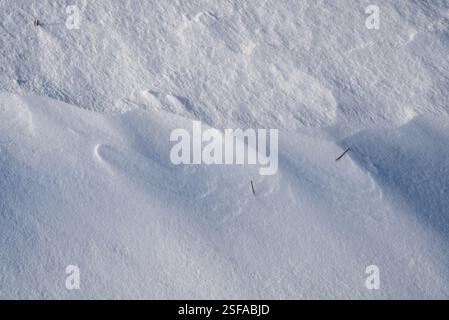 Shapes, textures, patterns created by snow and wind. Stock Photo