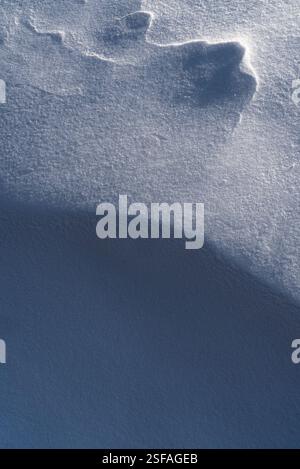 Snow texture, pattern. Light and shadow. Stock Photo