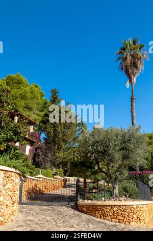 Finca with garden in Canyamel, Island of Mallorca, Spain Stock Photo