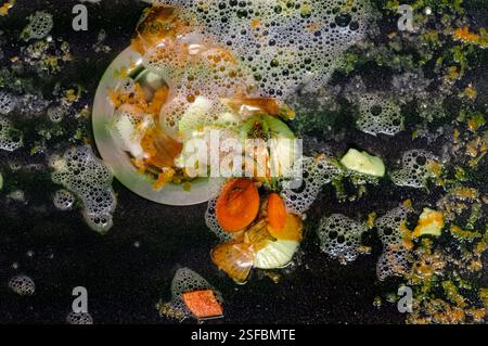 leftovers and foam in a kitchen sink, indoor close up Stock Photo