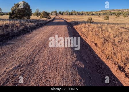 Forest Service Road 229 through rural landscape, Coconino National Forest, Arizona, USA Stock Photo