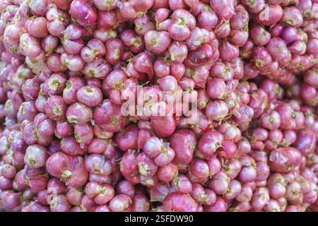 close-up image of fresh red shallots stacked in a large pile. The vibrant pinkish-red hues and natural texture of the shallots are captured beautifull Stock Photo