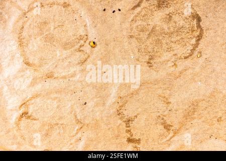 Background, a sheet of used cooking parchment, the texture of brown baking paper. High quality photo Stock Photo