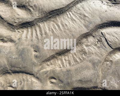 Rippled mud sand background with waves texture background Stock Photo