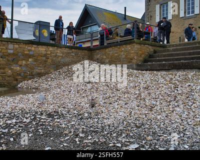 Cancale, France - Sep 5 2024: A pile of discarded oyster shells on the beach at Cancale on the Brittany coast in Northern France. The shells are disca Stock Photo