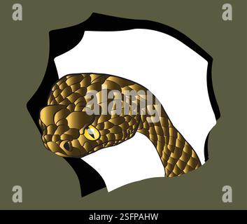 Green snake emerging from a hole with intense gaze Stock Vector