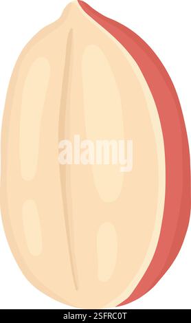 Cartoon peanut. Delicious tasty peanuts snack, raw peanut in shell flat vector illustration. Crunchy peanuts nut on white background Stock Vector
