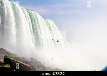 Water rushes over cliff edges while birds soar above the mist. Stock Photo