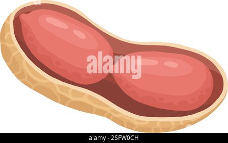 Cartoon peanut. Delicious tasty peanuts snack, raw peanut in shell flat vector illustration. Crunchy peanuts nut on white Stock Vector