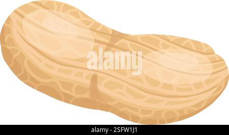 Cartoon peanut. Delicious tasty peanuts snack, raw peanut in shell flat vector illustration. Crunchy peanuts nut on white Stock Vector
