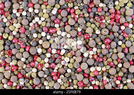 Texture of different and colorful hot peppers peas Stock Photo