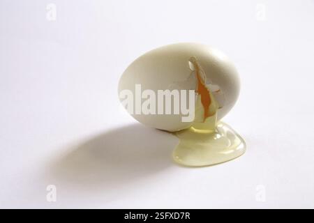 Concept, anda broken egg yolk death destroy life end on white background Stock Photo