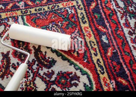 Cleaning with a lint roller ( carpet cleaner) Stock Photo