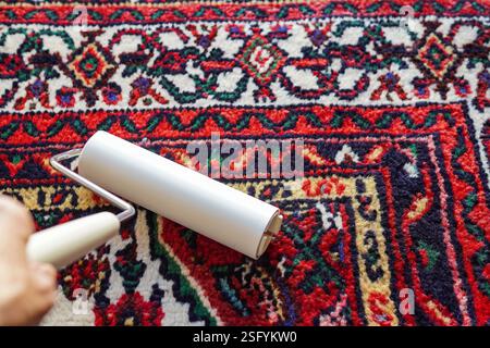 Close-up of a woman's hand cleaning with a lint roller ( carpet cleaner) Stock Photo