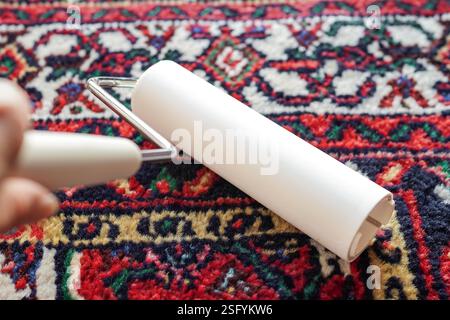 Close-up of a woman's hand cleaning with a lint roller ( carpet cleaner) Stock Photo