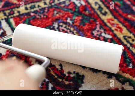 Close-up of a woman's hand cleaning with a lint roller ( carpet cleaner) Stock Photo