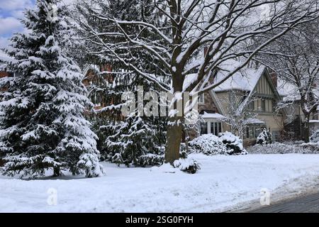 Residential neighborhood with shrubbery covered in snow Stock Photo