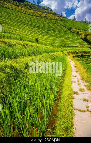 Yao Village Dazhai, Longsheng, near town of Guilin, Guangxi, China. Farmhouses in highlands of China, farm land, rice terraces. Stock Photo
