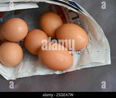 Brown natural eggs in newspaper cone. Stock Photo