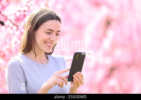Happy woman checking smart phone standing in a field Stock Photo