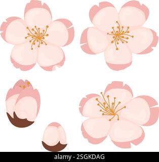 simple and cute image of cherry blossoms on hanami Stock Vector