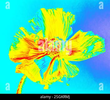 Abstract trendy neon colored psychedelic fluorescent striped