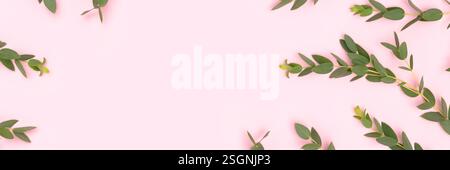 Banner with frame made of eucalyptus branches on a pink background. Stock Photo
