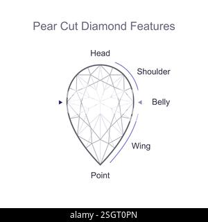 Pear cut precious gemstone anatomy, parts, names Stock Vector