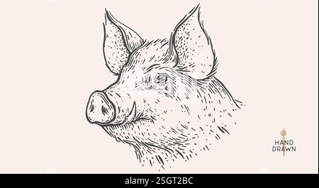 Pork, pig, hog. Hand drawn Stock Vector