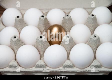 Box of eggs with a golden egg in the middle. Stock Photo