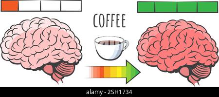 Caffeine intellectual performance Stock Vector