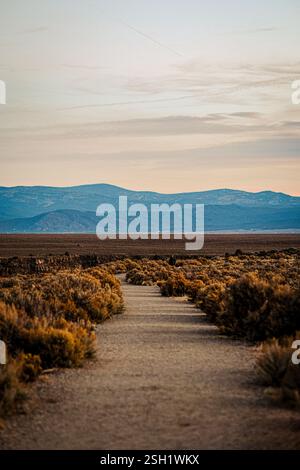 Path Through the Desert at Dusk Stock Photo