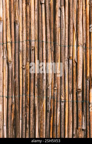 Natural reed fencing, texture of old dry reed straws, vertical image Stock Photo